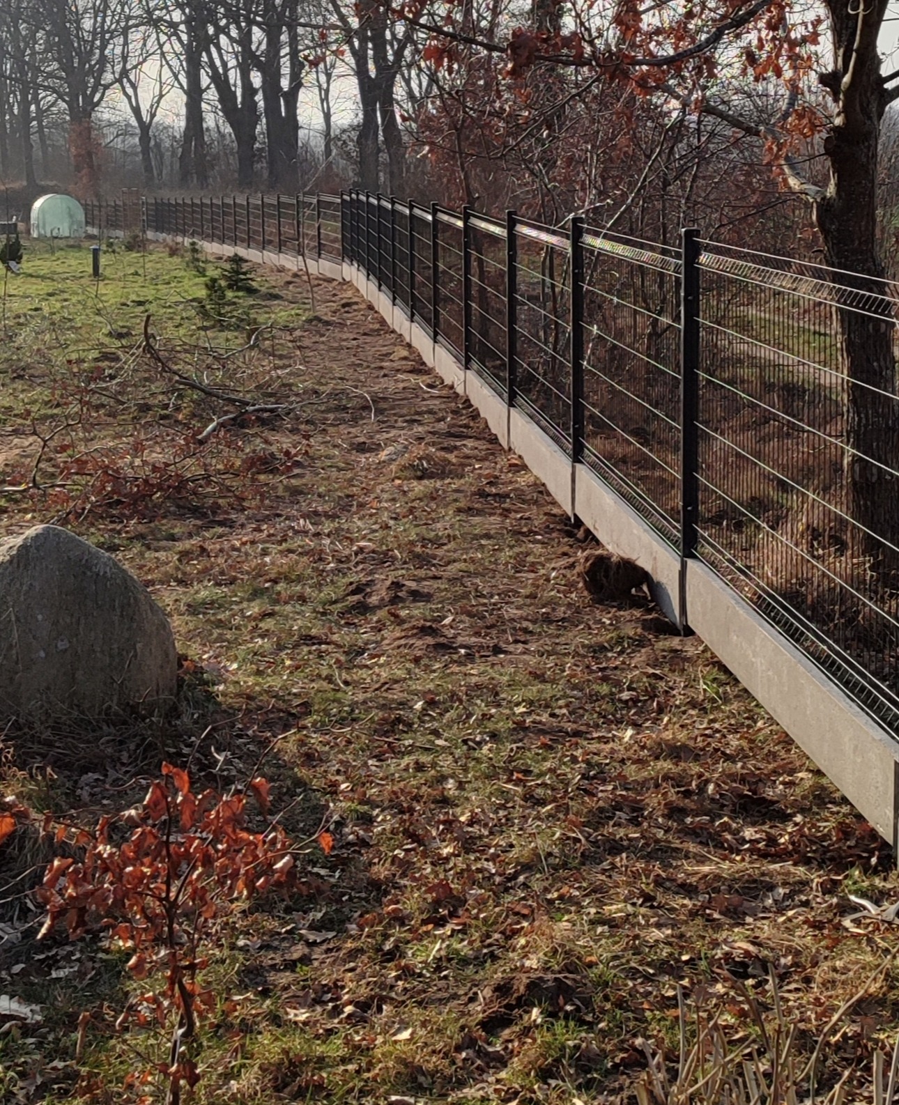 Długi, ciemny, metalowy płot panelowy z betonową podmurówką, biegnący wzdłuż granicy działki porośniętej liśćmi i trawą, z widoczną norą pod płotem i dużym kamieniem w kadrze.
