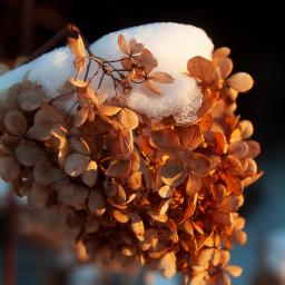 Montaż filmów Poznań 2