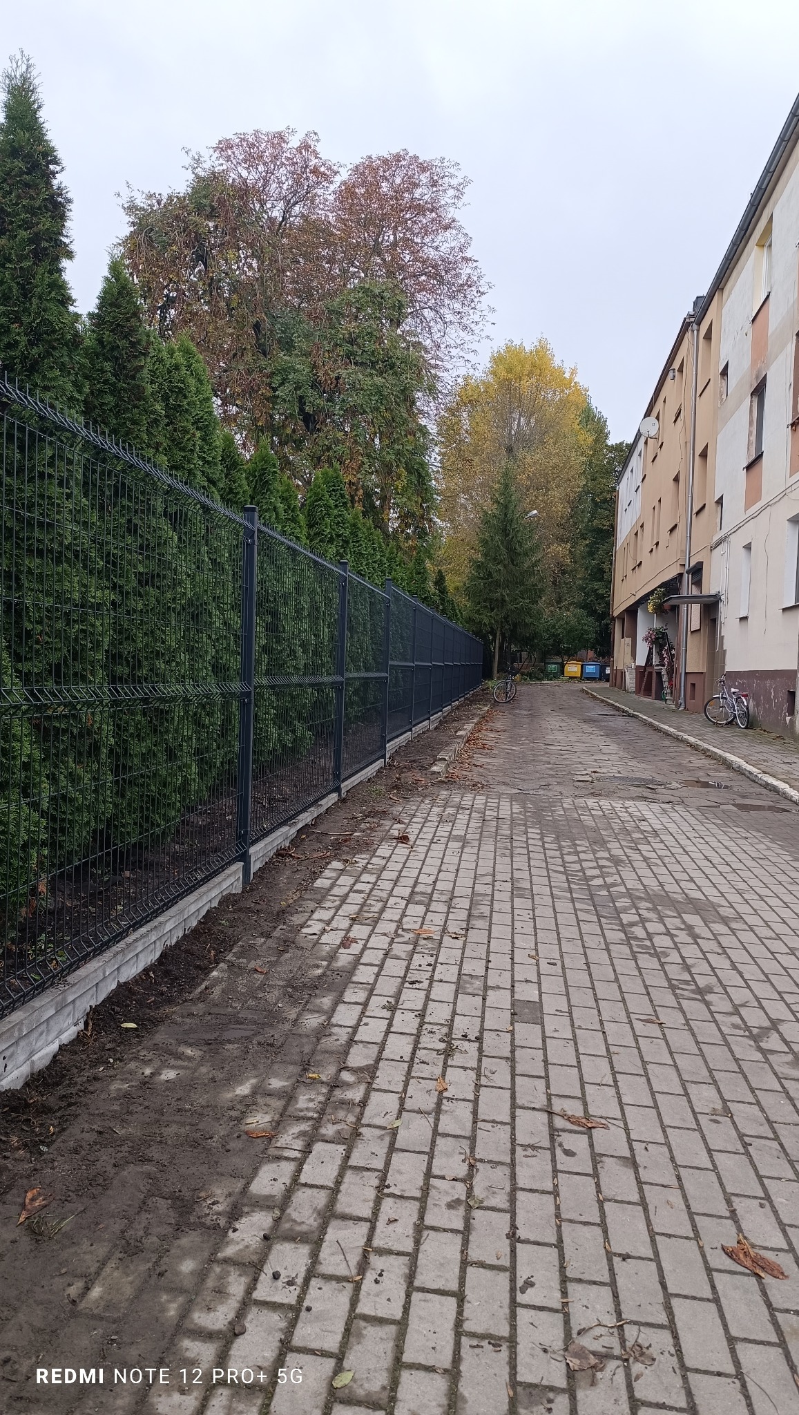 Nowo postawione, panelowe ogrodzenie wzdłuż chodnika z kostki, oddzielające posesję od drogi. W tle budynek mieszkalny i drzewa z jesiennymi liśćmi.