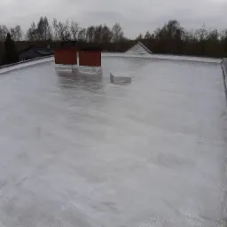 Srebrny dach - płynna powłoka z prawdziwym aluminium i wymiana obróbek blacharskich