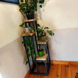 Metalowy, kaskadowy kwietnik narożny z drewnianymi blatami, na którym stoją trzy doniczki z różnymi roślinami.