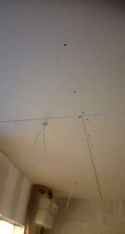 Niedokończony sufit z płyt kartonowo-gipsowych, widoczne łączenia i wkręty, wystające przewody elektryczne, surowy stan wykończenia wnętrza.