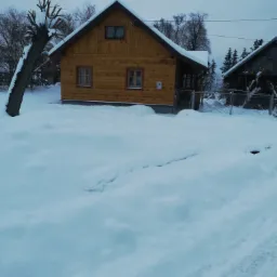 Drewniany dom z elewacją z bali w zimowym krajobrazie, z numerem 137 na ścianie, otoczony śniegiem i drzewami bez liści.