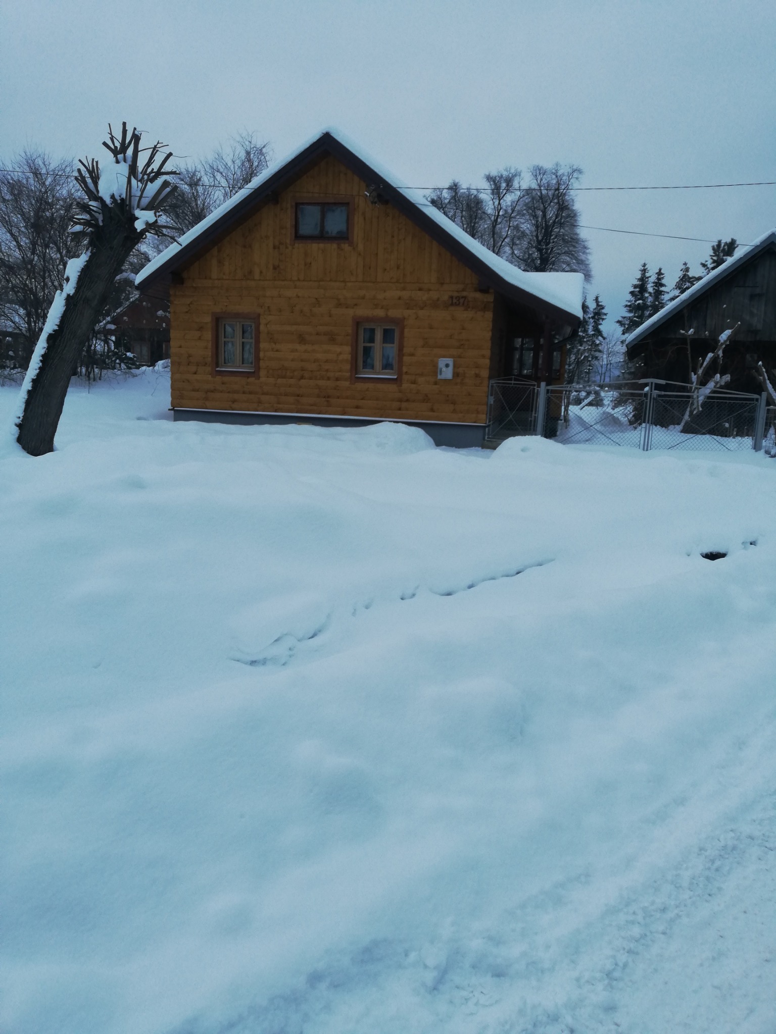Drewniany dom z elewacją z bali w zimowym krajobrazie, z numerem 137 na ścianie, otoczony śniegiem i drzewami bez liści.