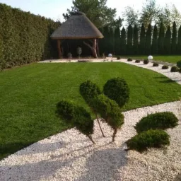 Starannie zaprojektowany ogród z równo przystrzyżonym trawnikiem, ścieżką z białego żwiru, ozdobnymi kulami i altaną z trzcinowym dachem w tle.