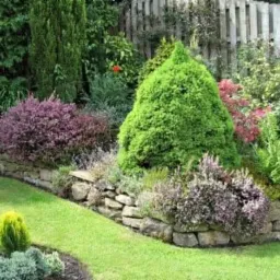 Zadbany ogród z niskim kamiennym murkiem, różnorodną roślinnością, równo przystrzyżonym trawnikiem i tujami o stożkowym kształcie.