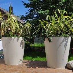 Wycinka drzew Otwock 2