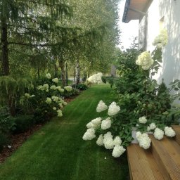 Wycinka drzew Otwock 3