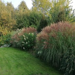 Wycinka drzew Otwock 4