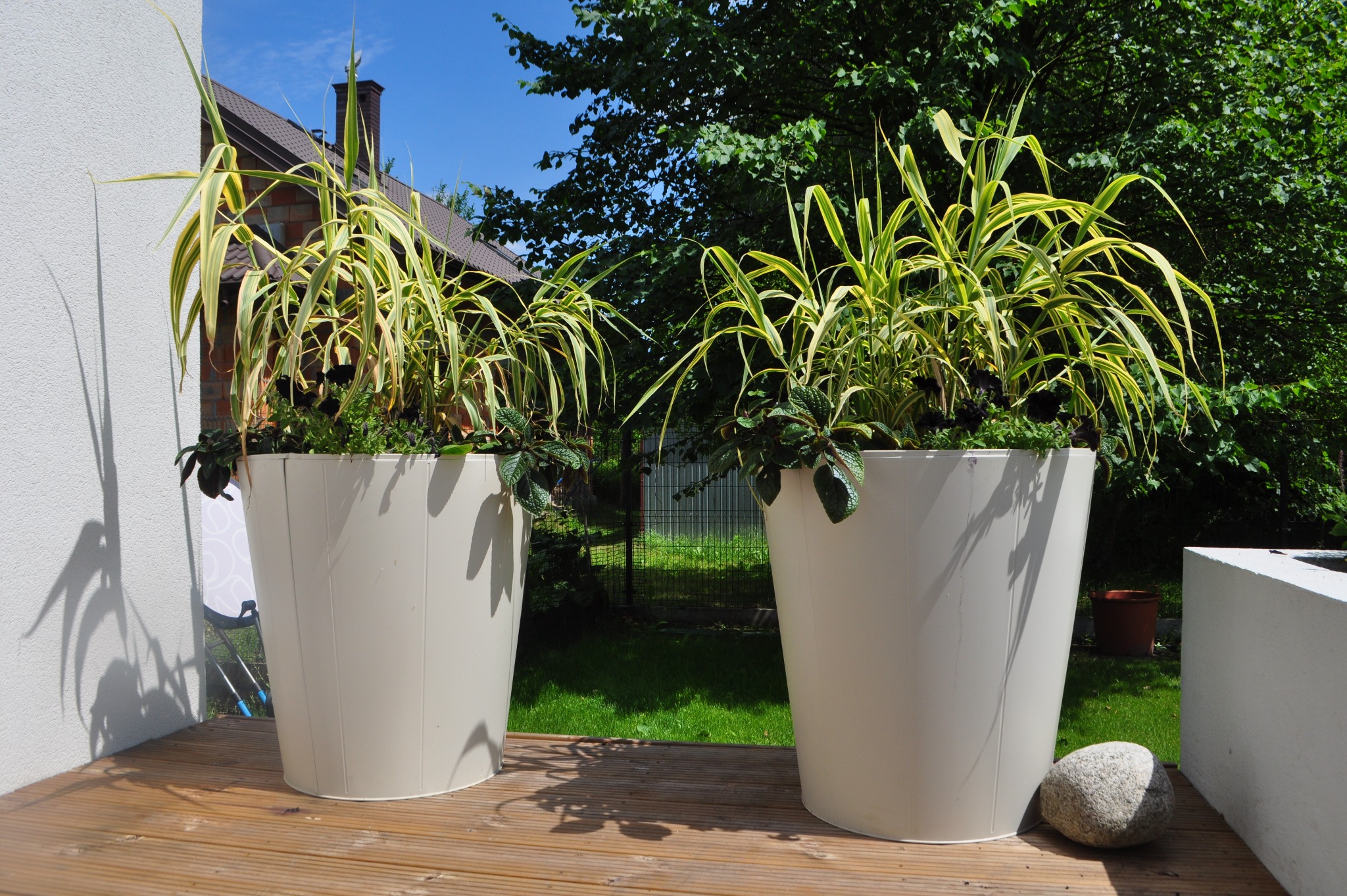 Dwie wysokie, kremowe donice z ozdobnymi trawami na drewnianym tarasie. W tle zieleń ogrodu i fragment domu z brązowym dachem. Słoneczny dzień.
