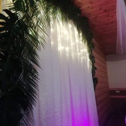 Osoba prywatna - Dekoracja wnętrza z białymi zasłonami, oświetleniem LED i elementami roślinnymi, oświetlona fioletowym światłem, widoczny drewniany sufit i ściana.