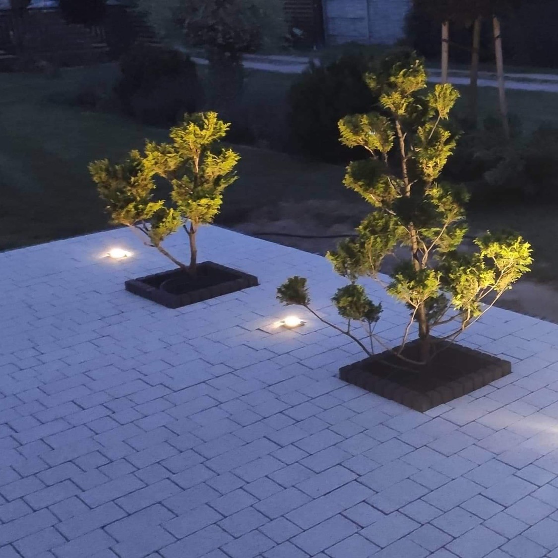 Ułożona jasnoszara kostka brukowa z dwoma młodymi drzewkami w kwadratowych obrzeżach, podświetlona punktowymi lampami wbudowanymi w nawierzchnię, widok z góry po zmierzchu.