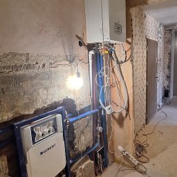 Glazurnik Mściszewice 4