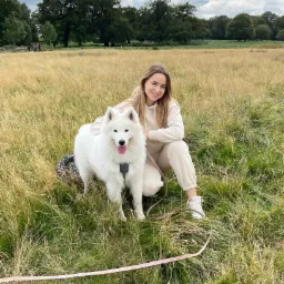 Uśmiechnięta kobieta w beżowym dresie kuca obok białego psa rasy Samoyed w szelkach na łące z wysoką trawą, różowa smycz leży na ziemi.