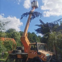 Podnosnik koszowy 16m