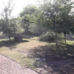 Automatyczny system nawadniania ogrodu z wózkiem i dyszami rozpylającymi wodę, widoczne drzewa i trawnik w słoneczny dzień.