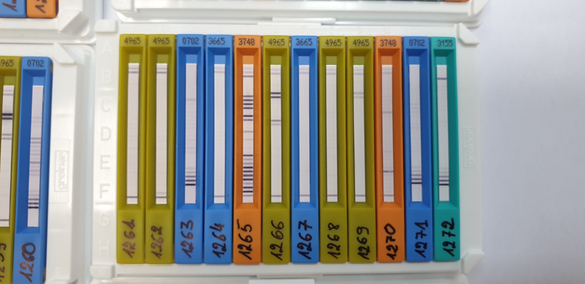 Panele IGE Grzegorz Siergiejko alergolog Białystok