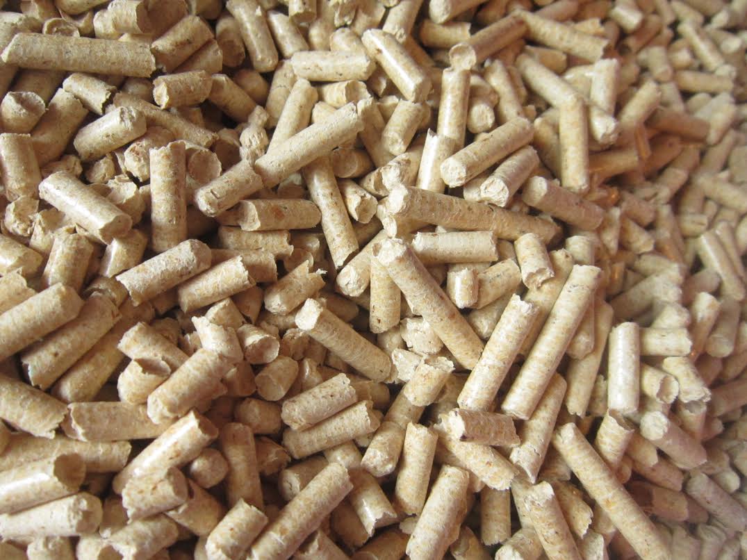 Jasne, cylindryczne granulki biomasy, prawdopodobnie pellet drzewny, wypełniające całą klatkę, z widoczną teksturą i drobnymi pęknięciami na powierzchni.