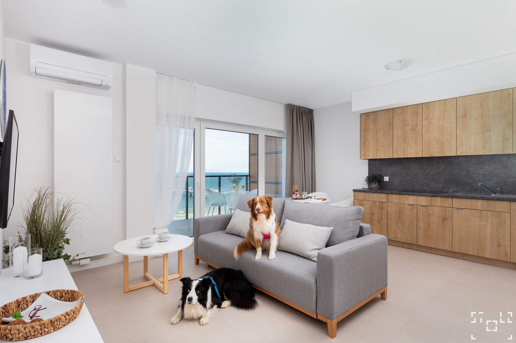 Jasne wnętrze apartamentu z widokiem na morze, szara sofa z dwoma psami rasy border collie: jeden siedzi na oparciu, drugi leży u dołu. W tle aneks kuchenny z drewnianymi szafkami i balkon...