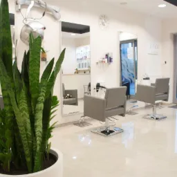 Jasne wnętrze salonu, z trzema fotelami fryzjerskimi, dużym lustrem, widoczną rośliną doniczkową na pierwszym planie i przeszklonymi drzwiami wejściowymi