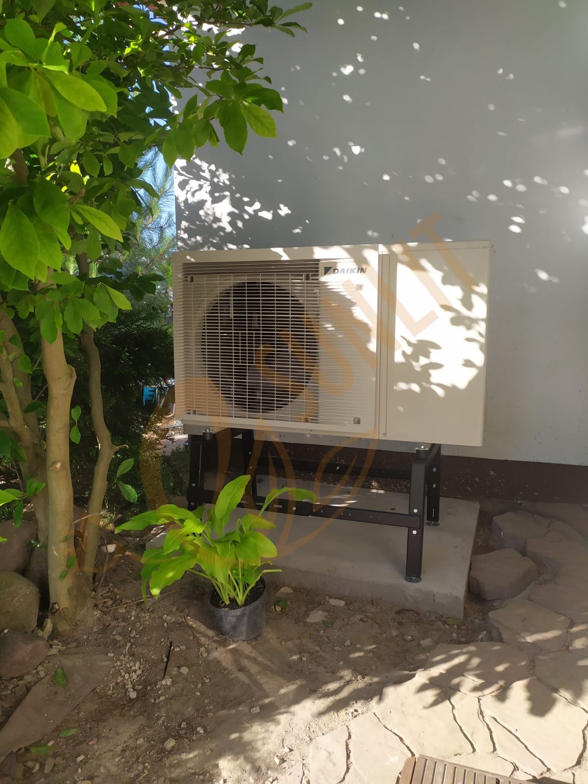Biała pompa ciepła Daikin na czarnym stelażu, ustawiona na betonowej podstawie obok drzewa i rośliny w doniczce, na tle jasnej ściany z cieniem liści.