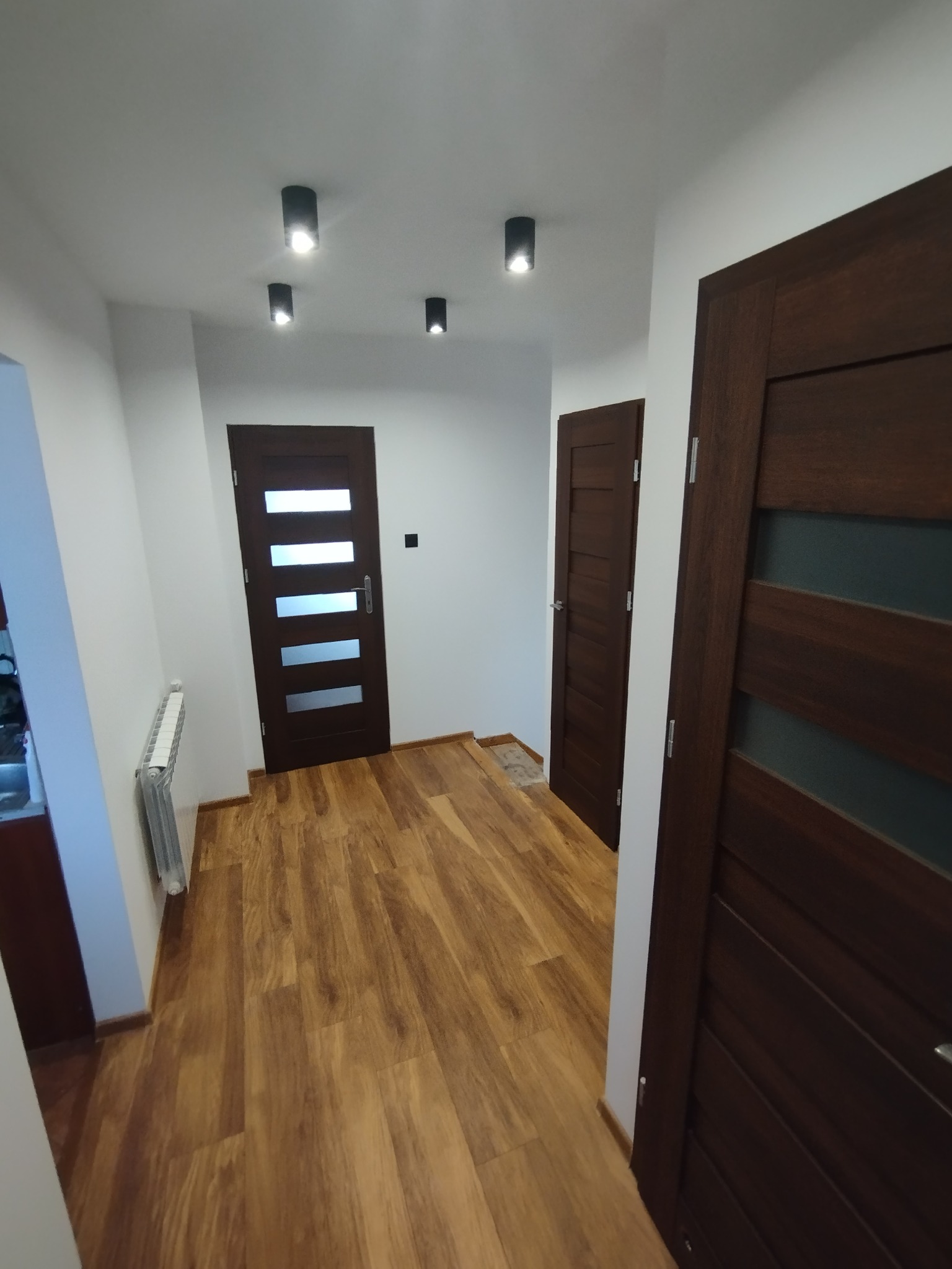 Korytarz po remoncie z trzema ciemnobrązowymi drzwiami o różnych wzorach, drewnopodobną podłogą i minimalistycznym oświetleniem sufitowym.