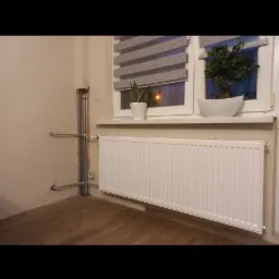 Biały grzejnik panelowy zamontowany pod oknem z roślinami doniczkowymi. Widoczne pionowe rury instalacji grzewczej. Podłoga drewniana.