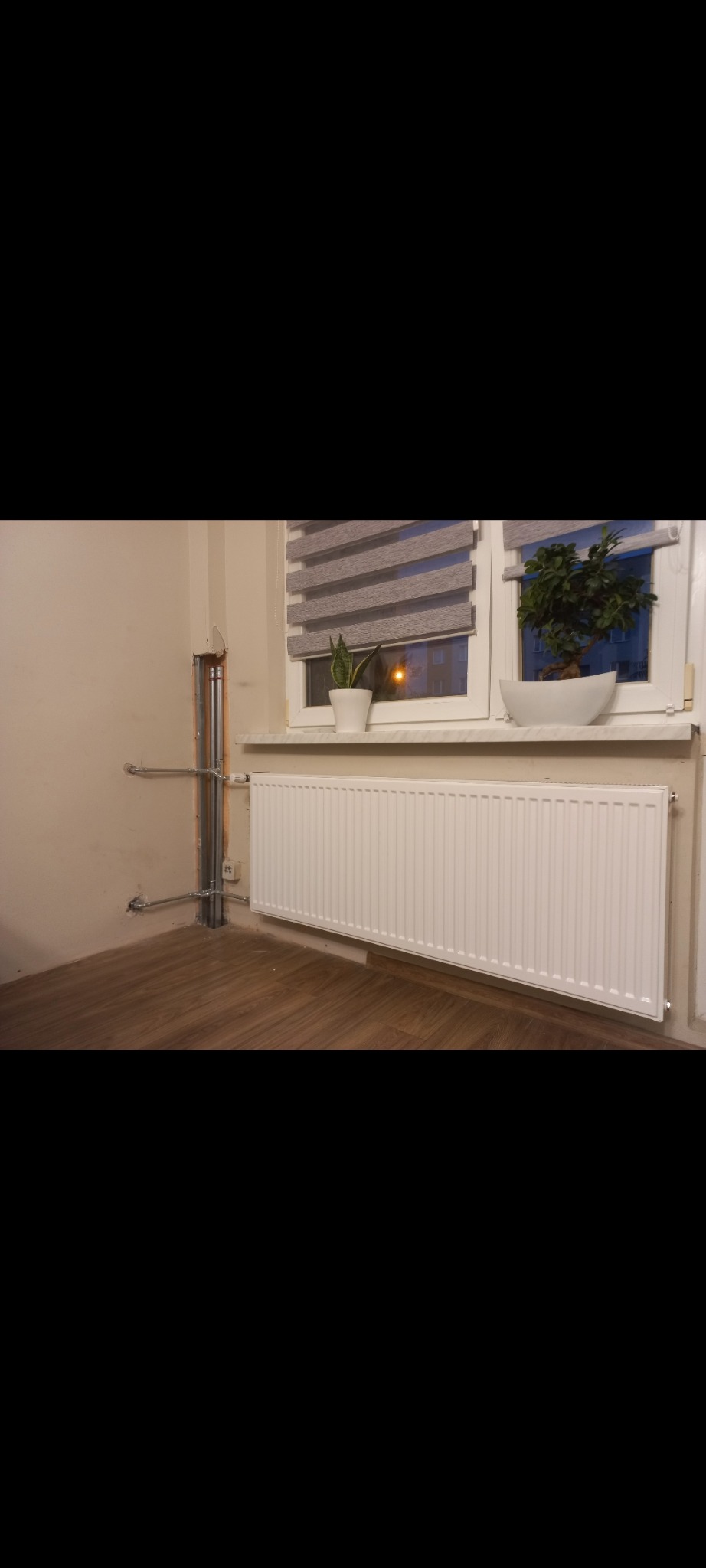 Biały grzejnik panelowy zamontowany pod oknem z roślinami doniczkowymi. Widoczne pionowe rury instalacji grzewczej. Podłoga drewniana.