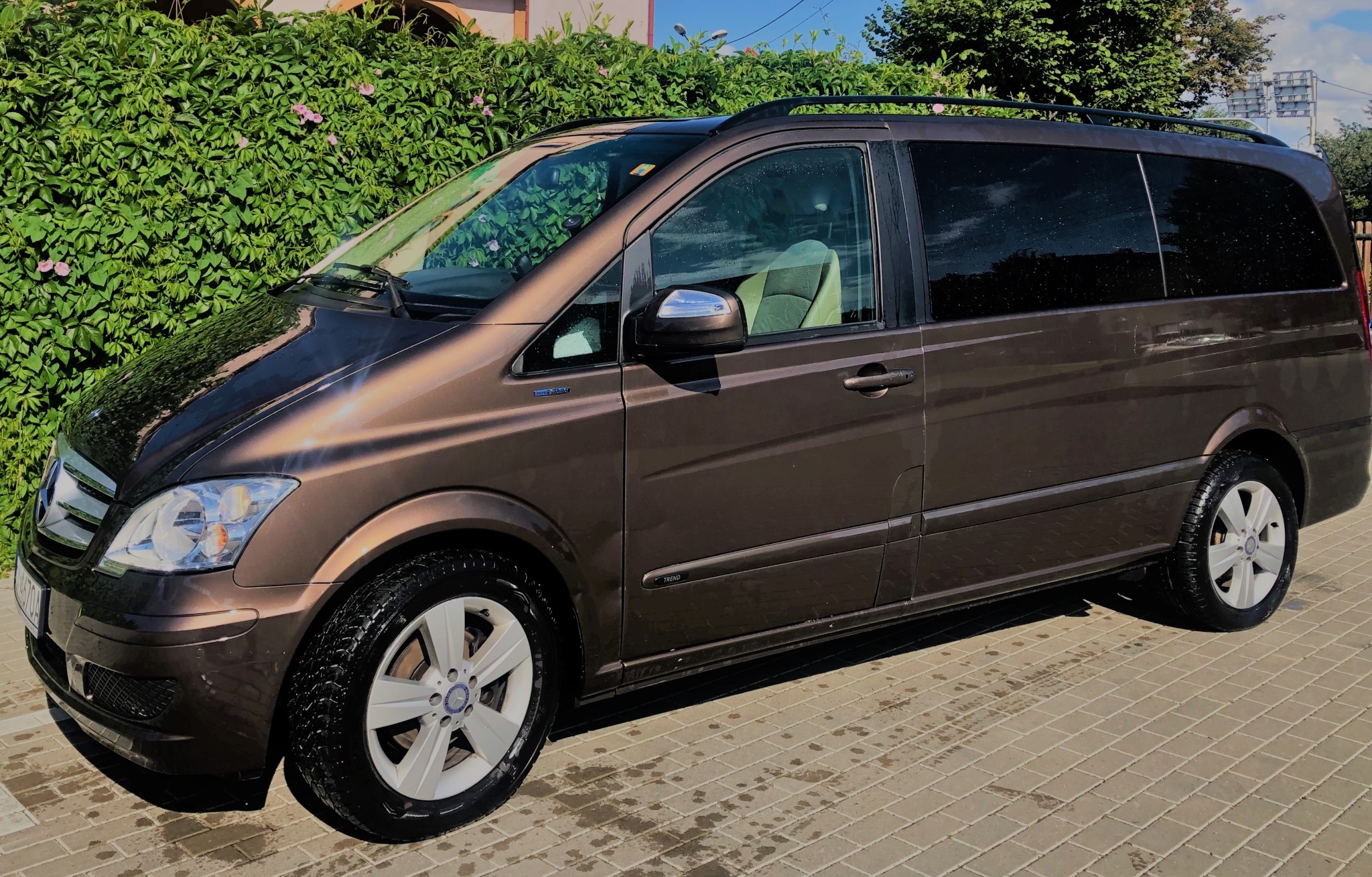 Brązowy, lśniący, umyty bus Mercedes-Benz Viano Trend z relingami dachowymi, zaparkowany na brukowanym podjeździe przed zielonym żywopłotem.