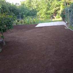 Przygotowany teren pod trawnik, świeżo wyrównana ziemia, widoczne młode drzewka iglaste w rzędzie, obrzeże z kamieni, częściowo ułożone płyty chodnikowe.