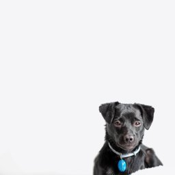 Sesja ciążowa Kraków 1