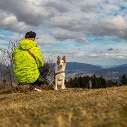 Sesja ciążowa Kraków 2