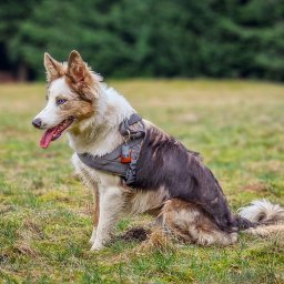 Sesja ciążowa Kraków 3