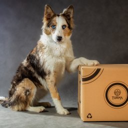 Sesja ciążowa Kraków 4