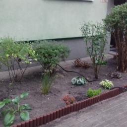 Pielęgnacja ogrodów Opole 4