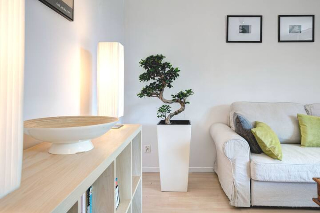 Jasne wnętrze salonu z białym regałem, lampą podłogową, misą dekoracyjną, bonsai w białej donicy i kremową sofą z poduszkami w odcieniach szarości i zieleni.
