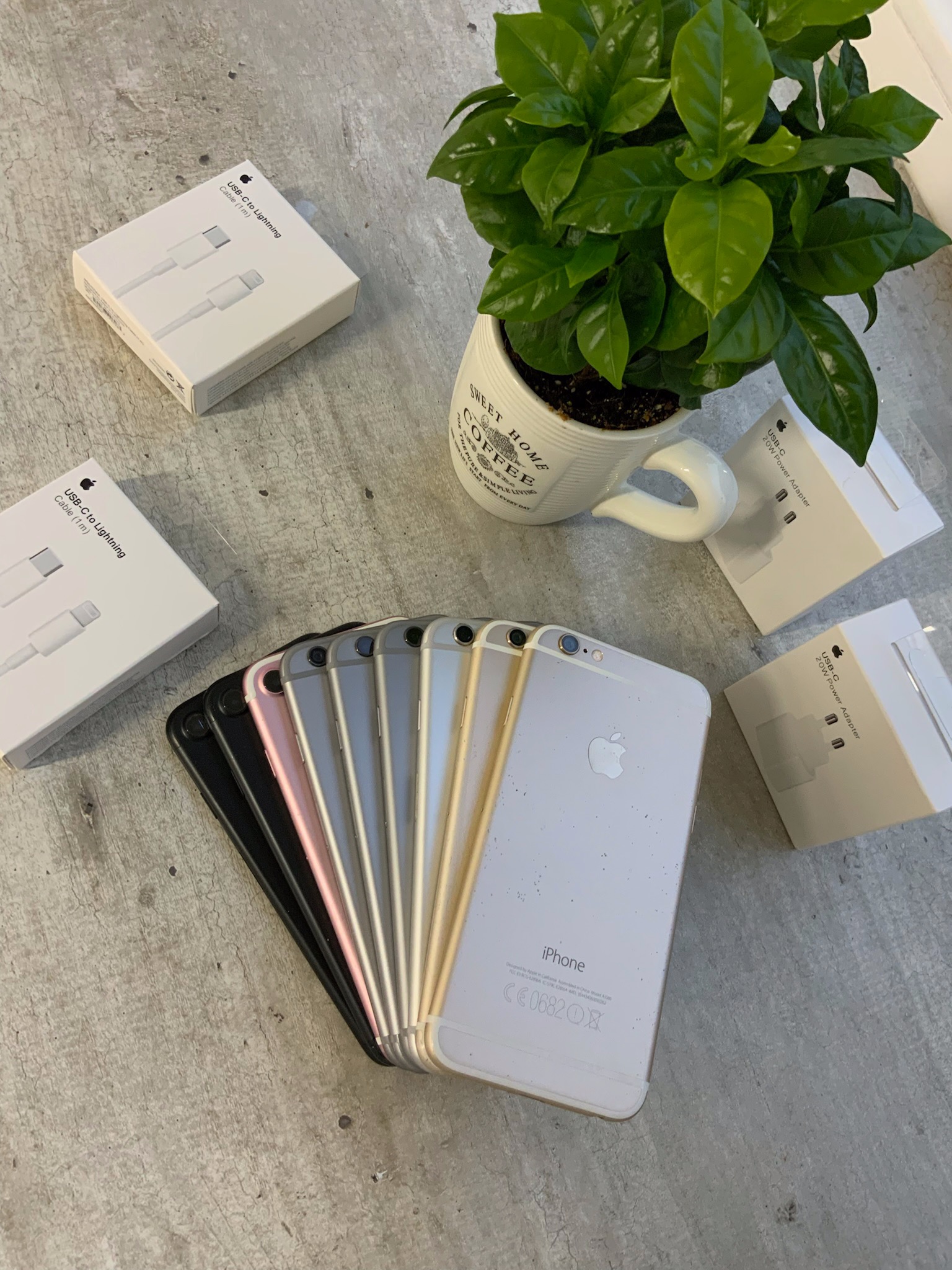 Różnokolorowe telefony iPhone ułożone wachlarzowo obok pudełek z akcesoriami Apple (kable USB-C - Lightning i ładowarki 20W) oraz małej rośliny doniczkowej na szarym tle.