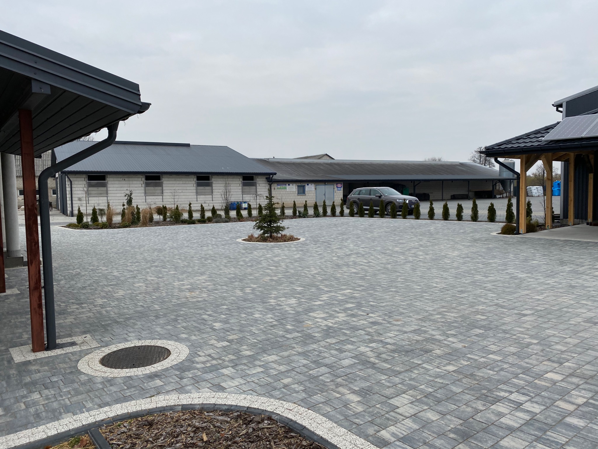 Rozległy dziedziniec wyłożony szarą kostką brukową z delikatnym wzorem, obrzeża wykończone jaśniejszym granitem, centralnie mała choinka otoczona korą, w tle budynki gospodarcze i zaparkowany...