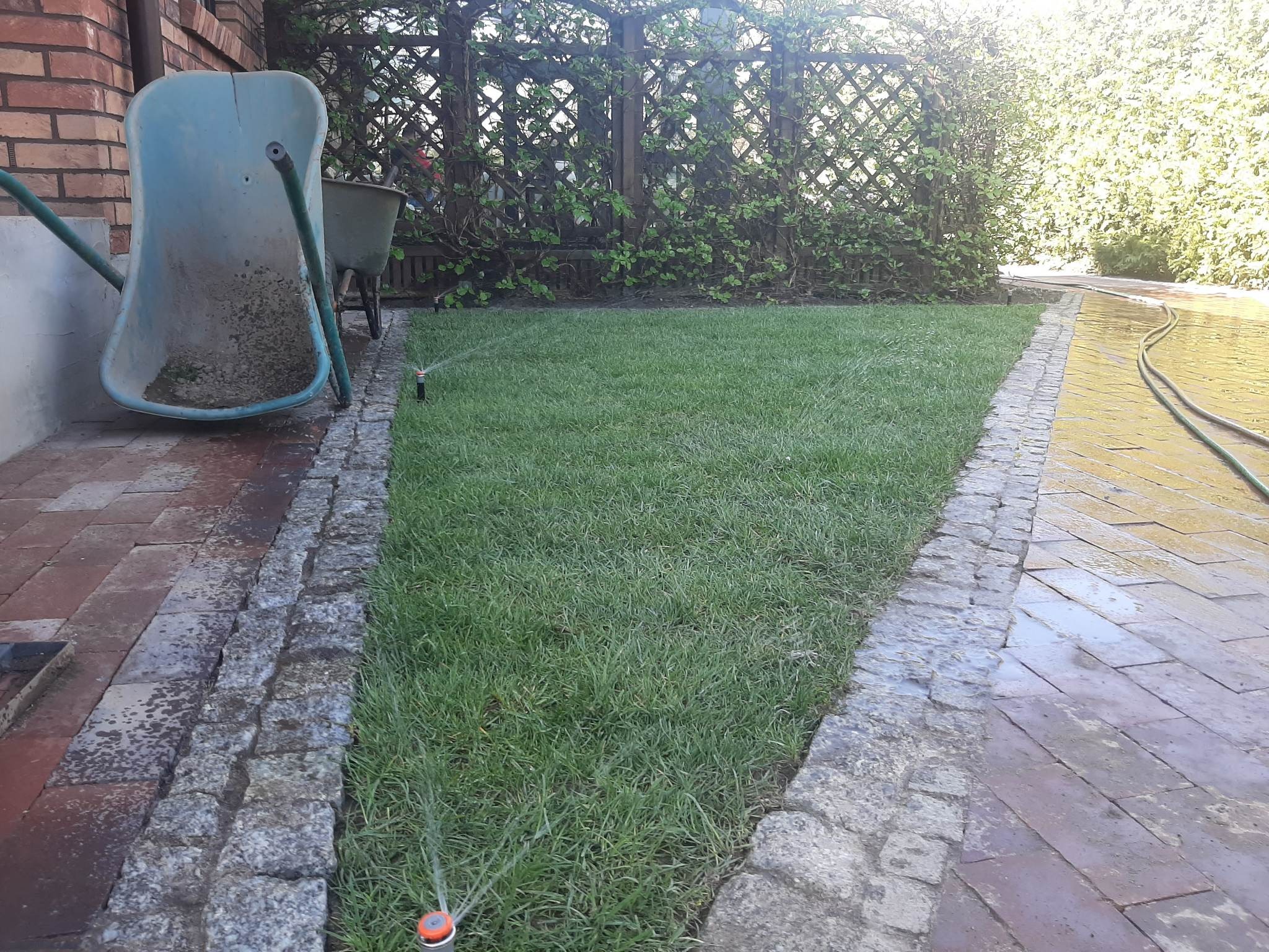 Świeżo założony trawnik z rolki, nawadniany automatycznym systemem z widocznymi zraszaczami, obrzeża z kostki granitowej, taczka ogrodowa oparta o mur z cegły.