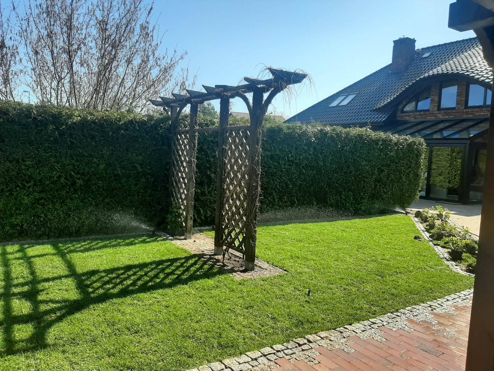 Zadbany trawnik z drewnianą pergolą, obok wysoki żywopłot i nawadnianie zraszaczem, w tle dom z ciemną dachówką.