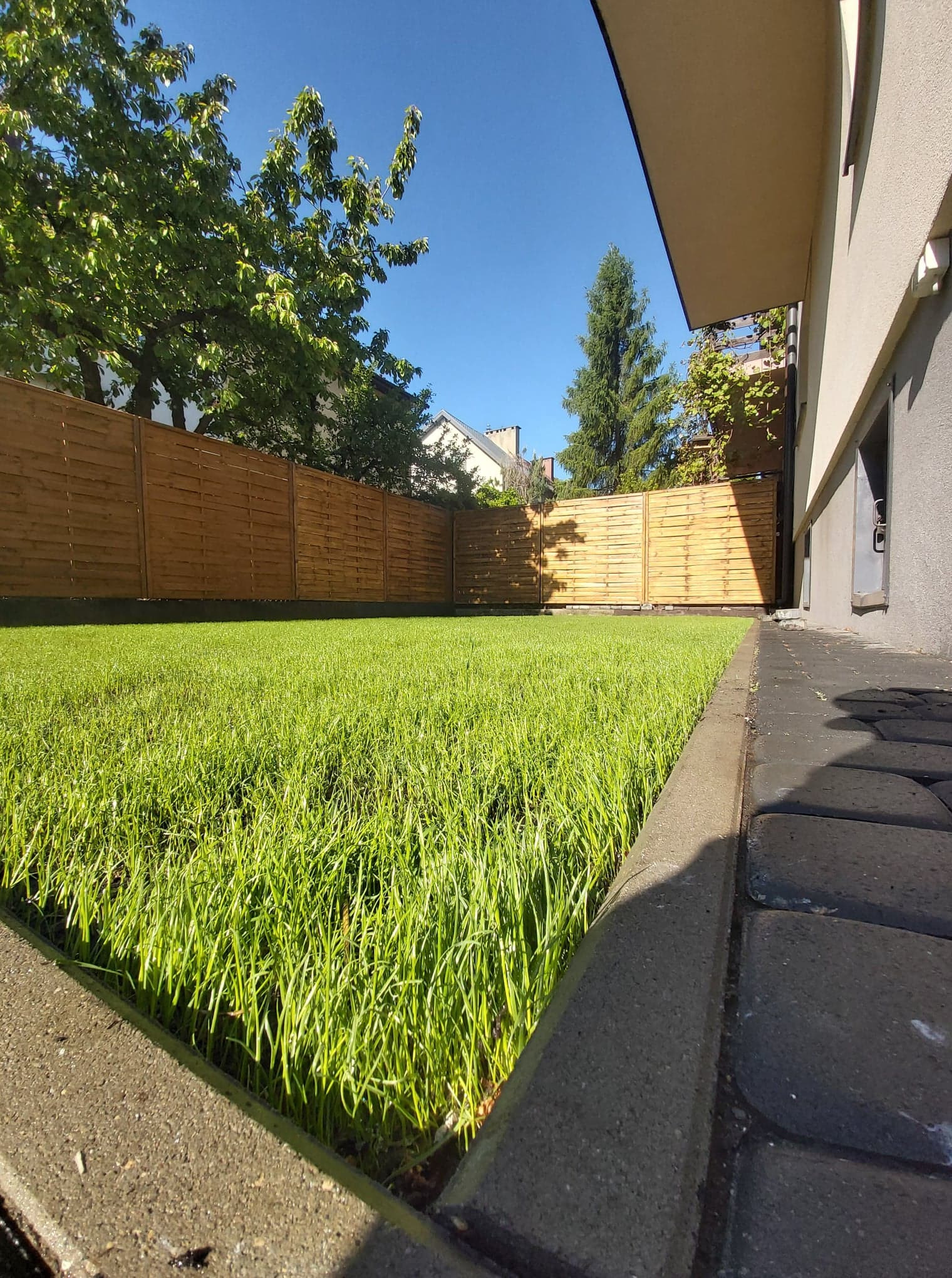 Świeżo założony trawnik przylegający do budynku z szarą elewacją, oddzielony obrzeżem betonowym od ciemnej kostki brukowej, otoczony drewnianym płotem w słoneczny dzień.