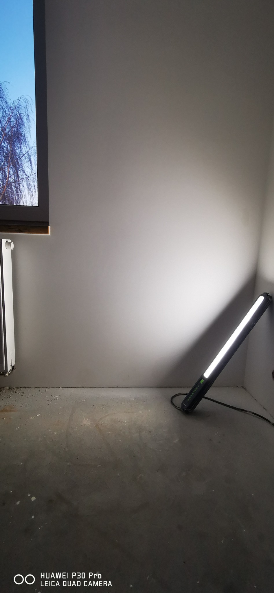 Świeżo pomalowane pomieszczenie z widoczną ścianą, oknem z widokiem na drzewo i lampą roboczą Festool oświetlającą róg