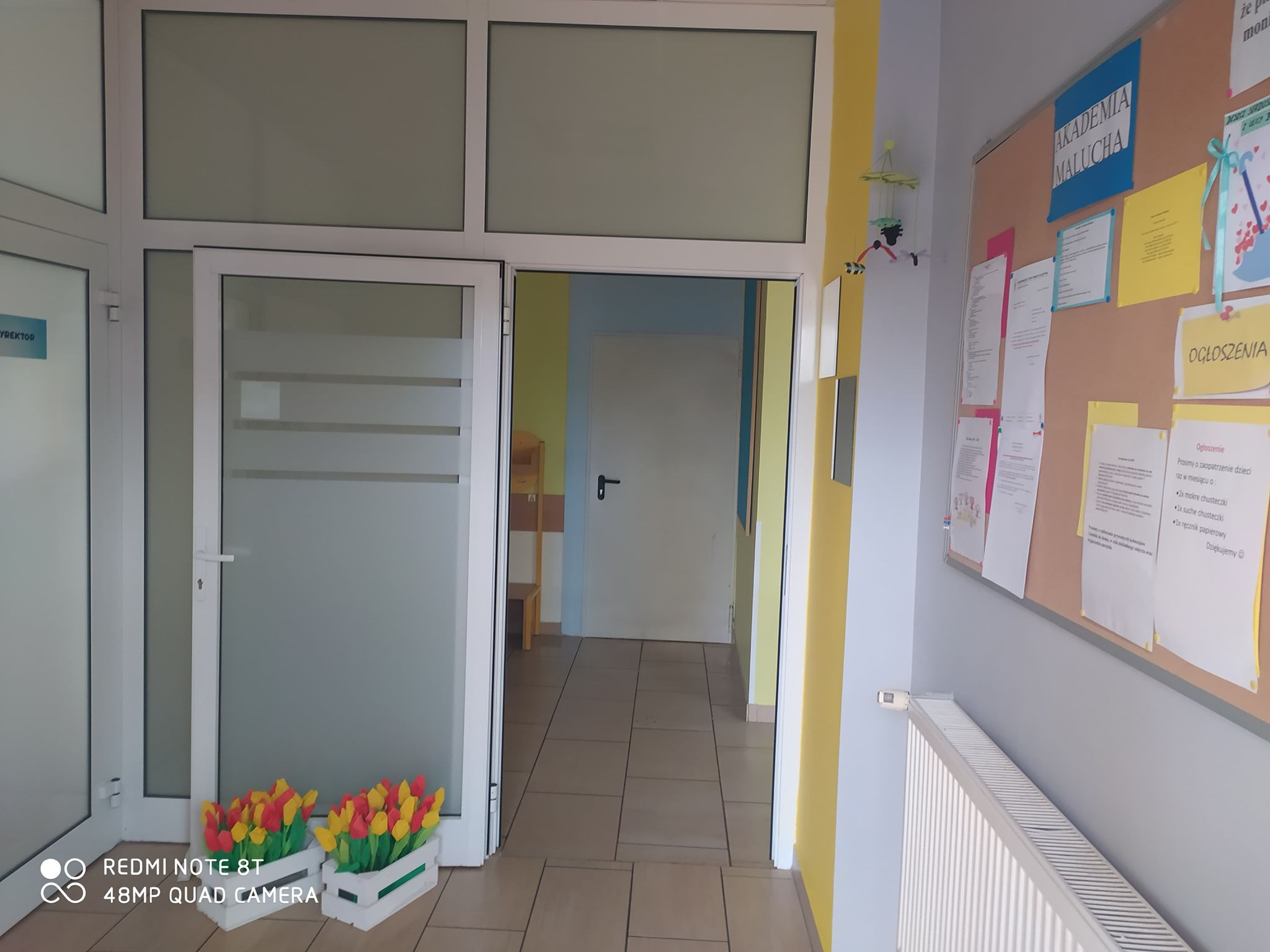 Wnętrze placówki edukacyjnej: korytarz z ogłoszeniami na tablicy korkowej, drzwi z matowego szkła i dekoracyjne tulipany w doniczkach przy wejściu.