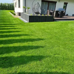 Perfekcyjnie utrzymany trawnik z rolki, z widocznymi pasami po koszeniu, sąsiadujący z nowoczesnym domem z tarasem i wiszącym fotelem.