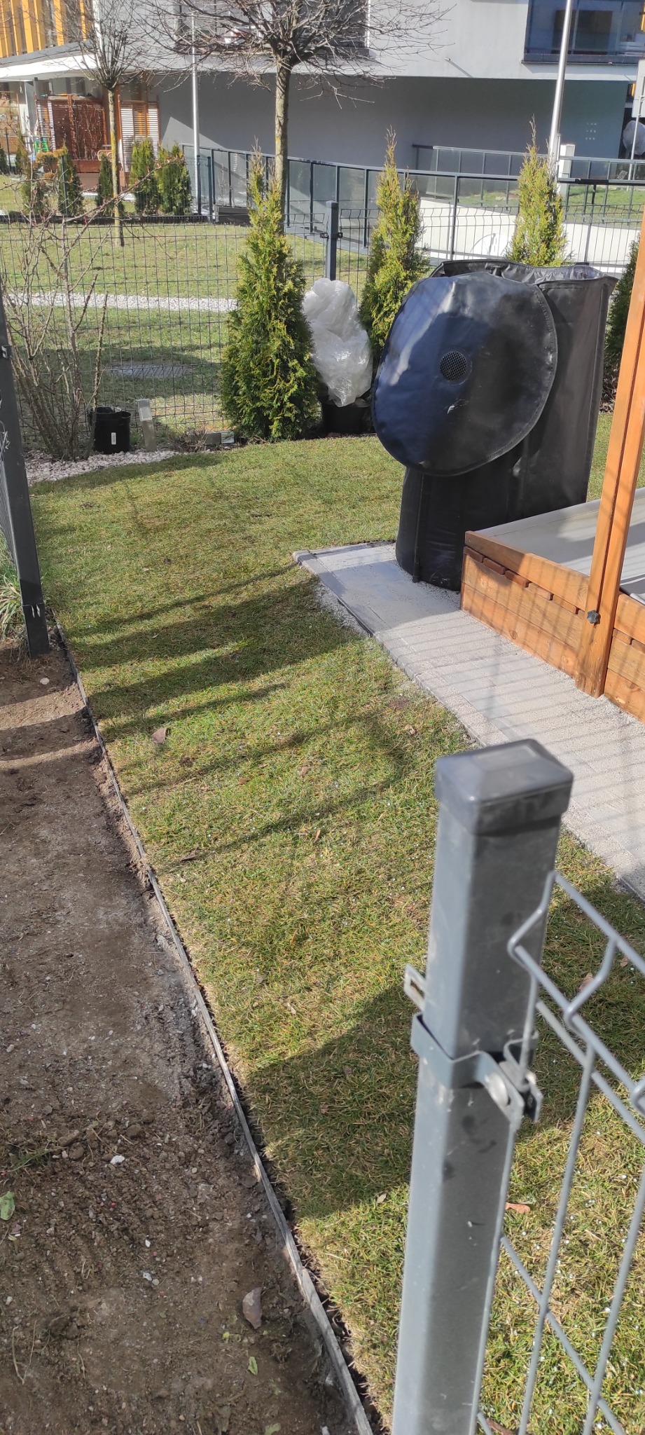 Fragment ogrodu z nowo ułożoną trawą z rolki, widoczna granica trawnika i rabaty, w tle tuje i elementy architektury ogrodowej.