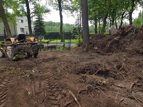 Żółty ciągnik z bronami na polu po wycince drzew, widoczny stos korzeni i pni, ślady opon w błotnistej ziemi, drzewa w tle.