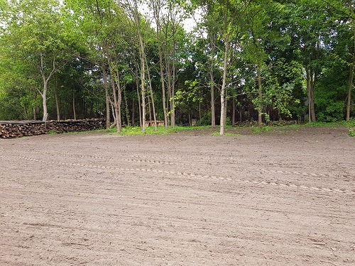 Teren po wycince drzew z widocznymi śladami opon i stosem pociętego drewna w tle.