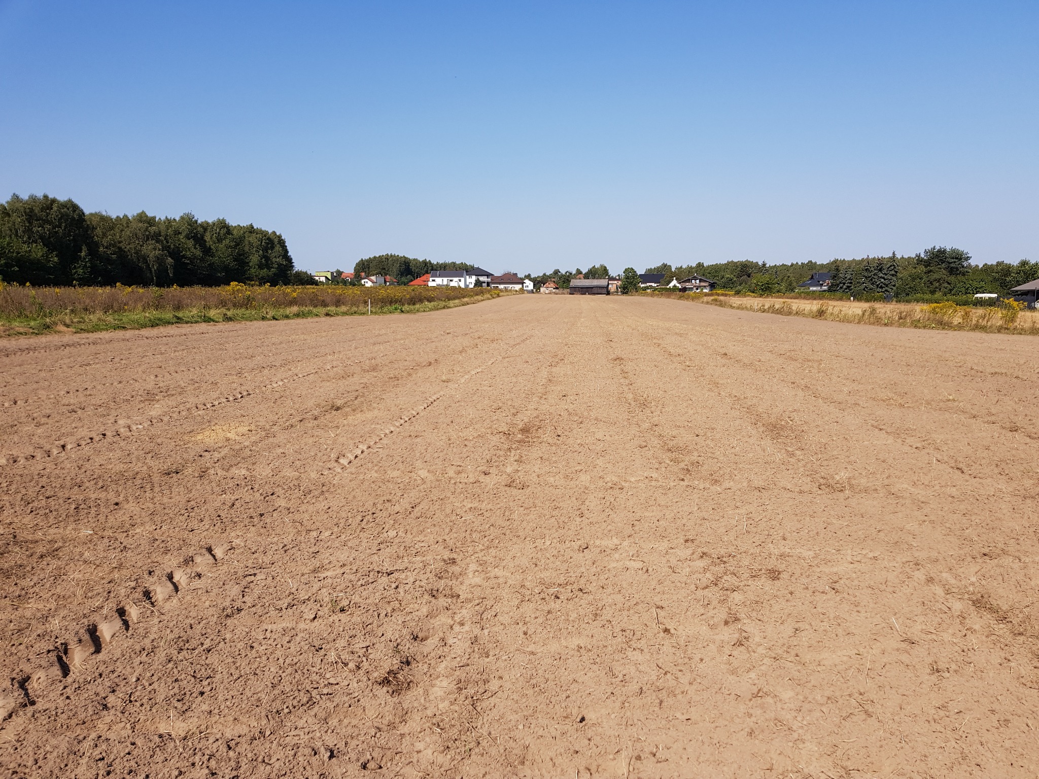 Przygotowane pole pod uprawę lub sadzenie, widoczne ślady opon traktora, w tle zabudowania wiejskie i linia drzew.