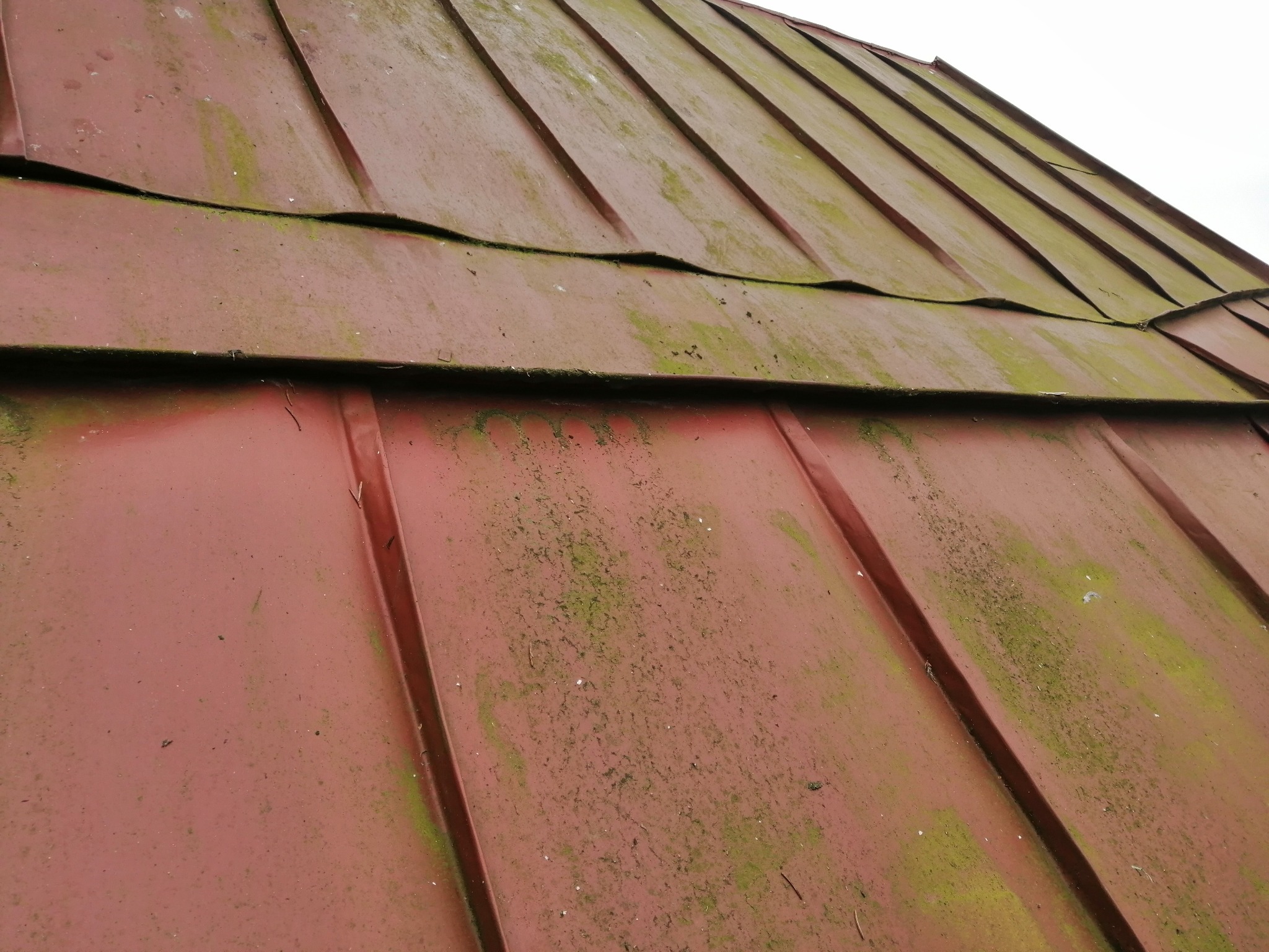 Czerwona blacha na dachu pokryta mchem w Skawinie, widok z dołu pod kątem.