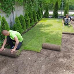 Zakładanie trawnika z rolki. 
Szybki sposób na mocny, dobrej jakości trawnik.